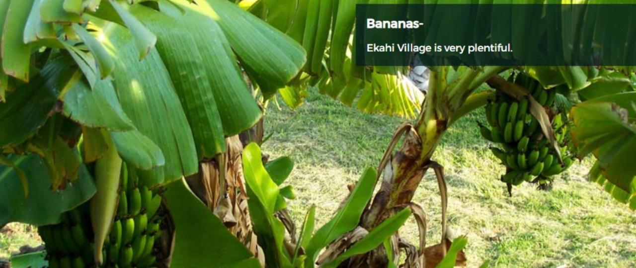9B Ekahi Village-Studio Bath, Garden View - 1 Minute Stroll To Beach! Wailea  Εξωτερικό φωτογραφία