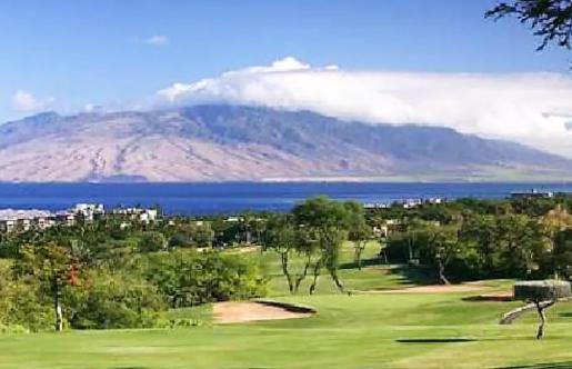 9B Ekahi Village-Studio Bath, Garden View - 1 Minute Stroll To Beach! Wailea  Εξωτερικό φωτογραφία